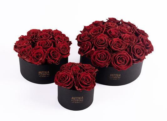 Passion Petals