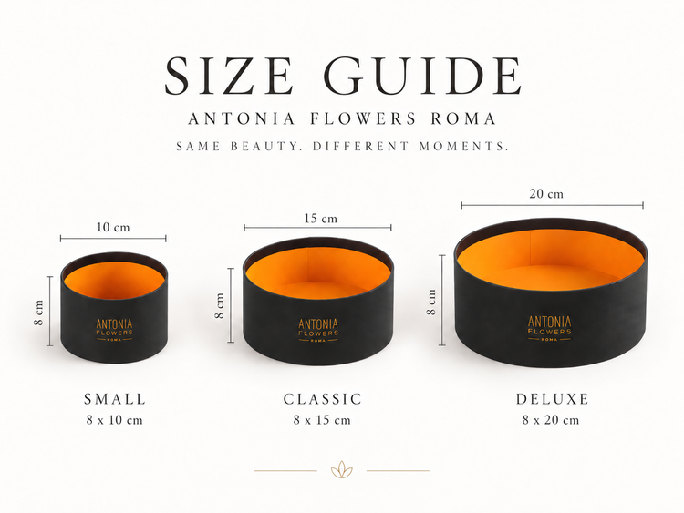 Guida alle dimensioni delle Flower Box Antonia Flowers Roma: Small Classice Deluxe nera