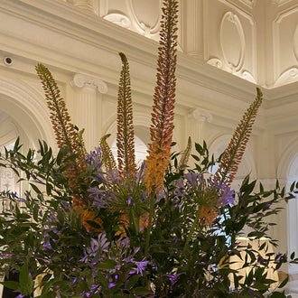 Composizione floreale verticale con eremurus e agapanthus in ambiente elegante