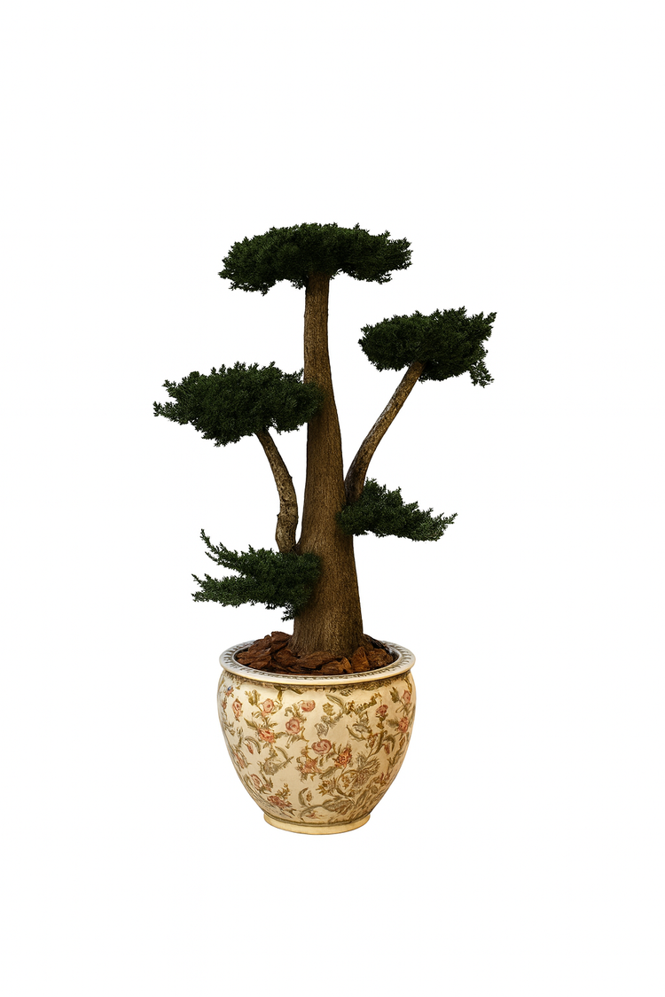 Jumbo Juniper